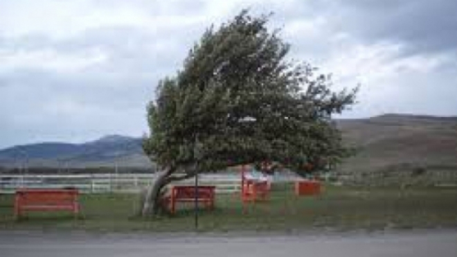 Vant puternic. Cinci judete, vizate de o atentionare COD GALBEN!