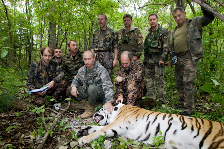 Tigrii lui Putin terorizeaza China