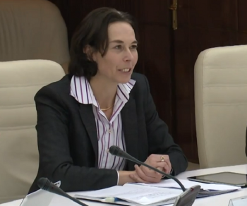 Andreea Schaechter FMI 3 feb 2014 - Ziarul National