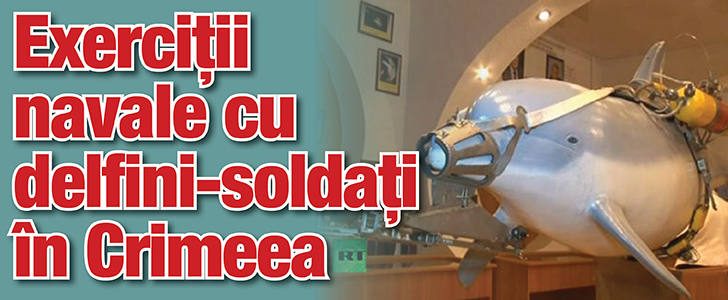Crimeea: Exercitii navale cu delfini-soldati