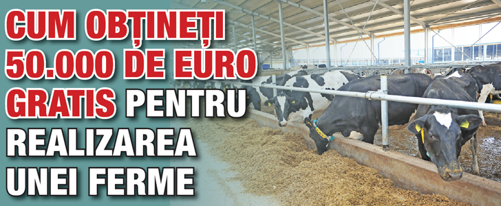 Cum obtineti 50.000 de euro gratis pentru realizarea unei ferme