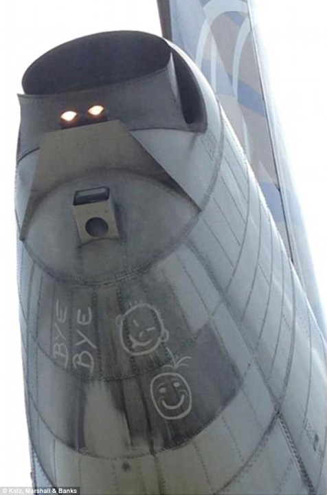 Insotitorii de zbor au abandonat cursa, desi pe coada avionului scria „Bye Bye”, nu „Bau-Bau”
