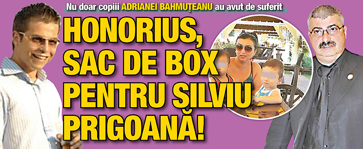 Honorius, sac de box pentru Silviu Prigoana