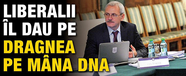 Liberalii il dau pe Dragnea pe mana DNA