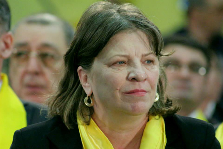 Norica Nicolai - Ziarul National