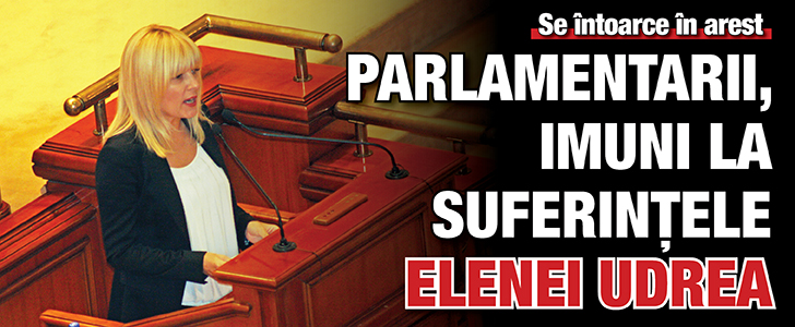 Parlamentarii, imuni la suferintele Elenei Udrea