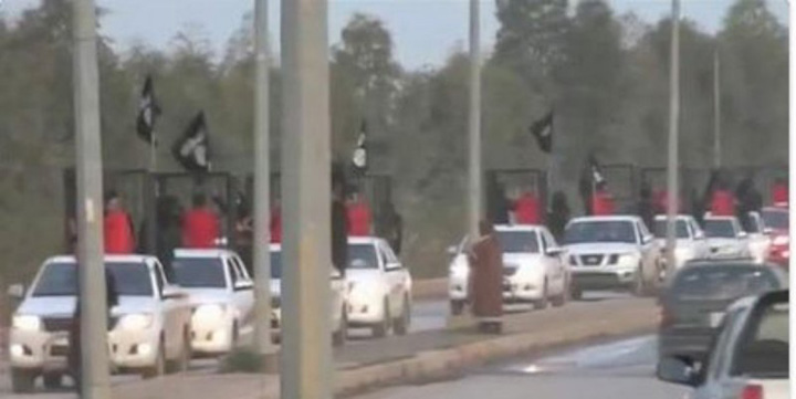 ISIS defileaza cu prizonieri kurzi in custi