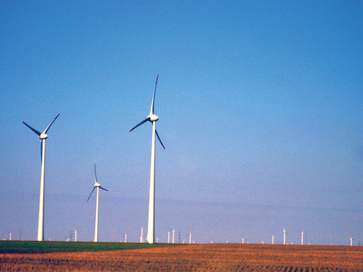 Energia electrica, mai scumpa cu 50% daca stau eolienele