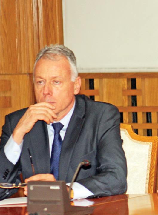 Laszlo Borbely - RICA PETRESCU - Ziarul National