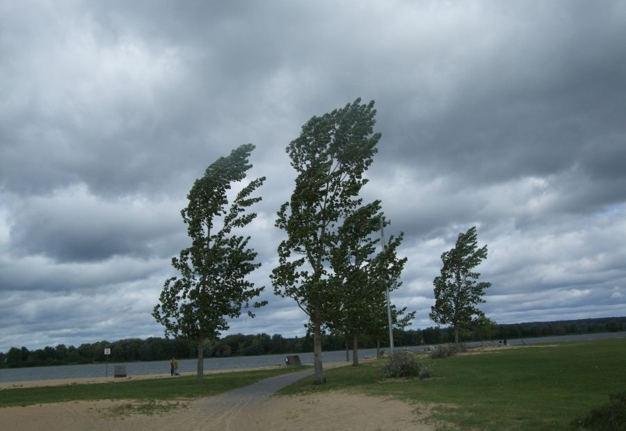 Meteorologii atentioneaza: vantul va sufla cu peste 70 km/h!