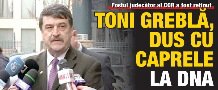 Toni Grebla, dus cu caprele la DNA