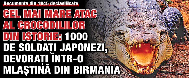 Cel mai mare atac al crocodililor din istorie: 1.000 de soldati japonezi, devorati intr-o mlastina din Birmania