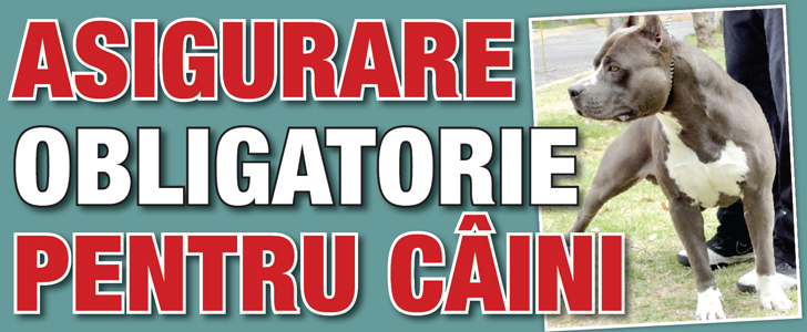 Asigurare obligatorie pentru caini
