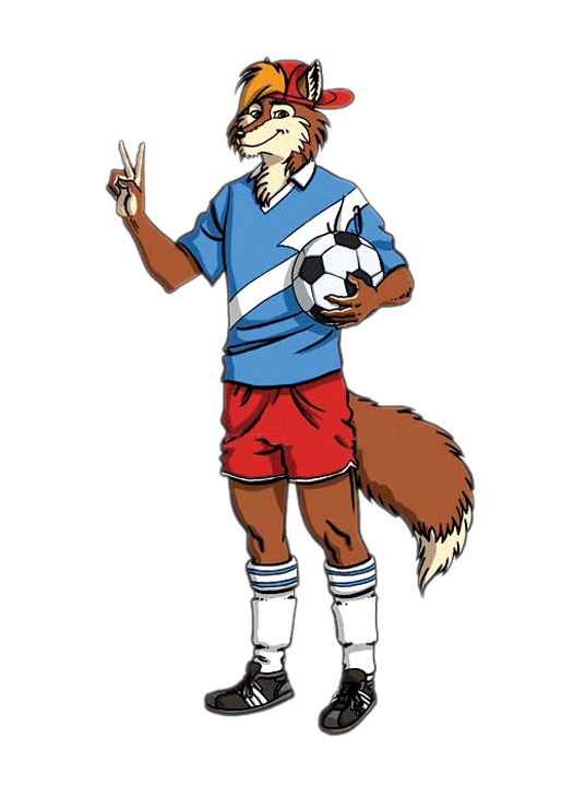 football_fox_colour_prev 1 - Ziarul National