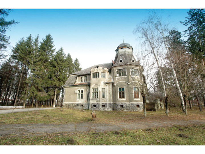 Castelul Pogany 2 - Ziarul National