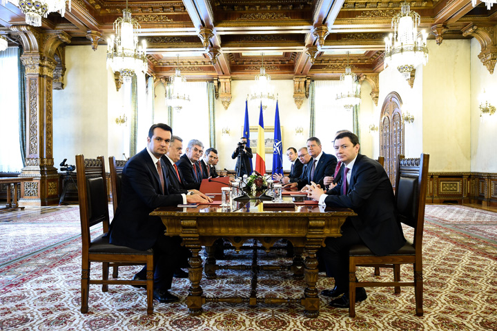 consultari cotroceni - Ziarul National