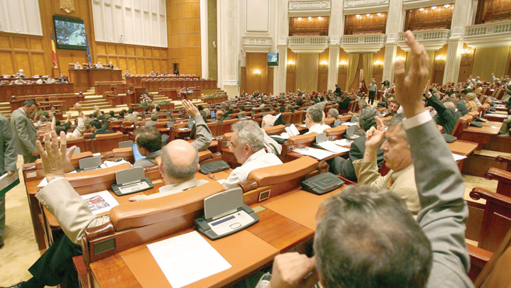 Camera Deputatilor votare - Ziarul National