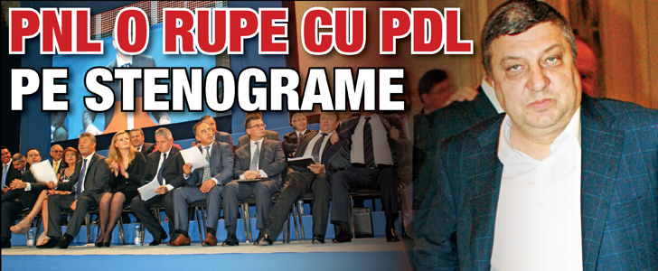 PNL o rupe cu PDL pe stenograme