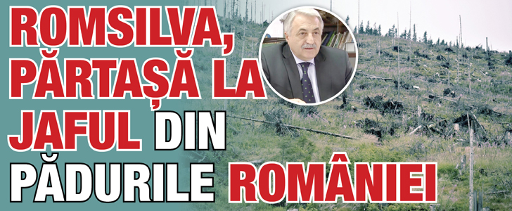 Romsilva, partasa la jaful din padurile Romaniei