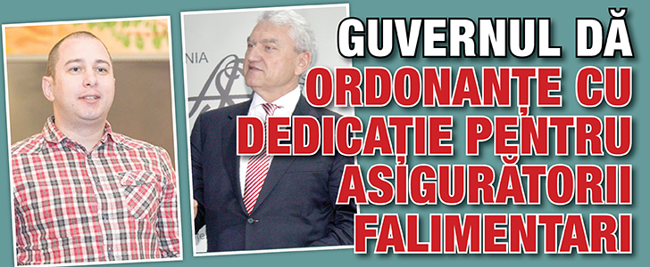 Guvernul da ordonante cu dedicatie pentru asiguratorii falimentari