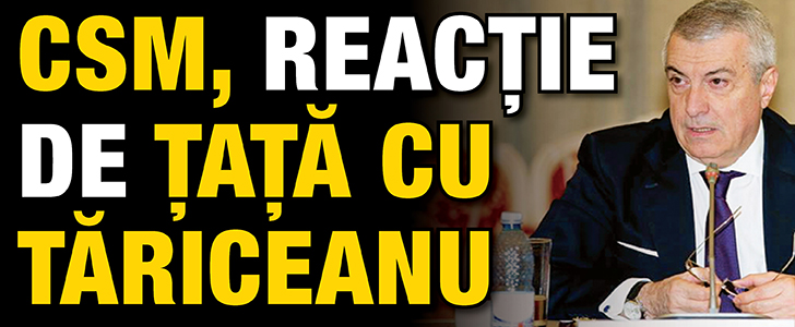 CSM, reactie de țață cu Tariceanu