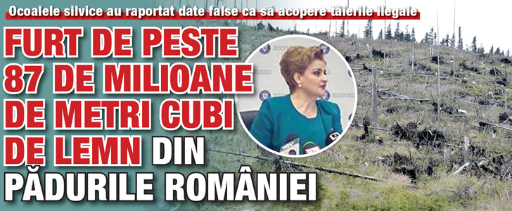 Furt de peste 87 de milioane de metri cubi de lemn din padurile Romaniei