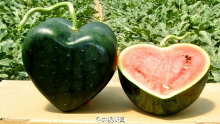 Chinezii n-au pic de rusine! Au copiat pana si pepenii in forma de inima