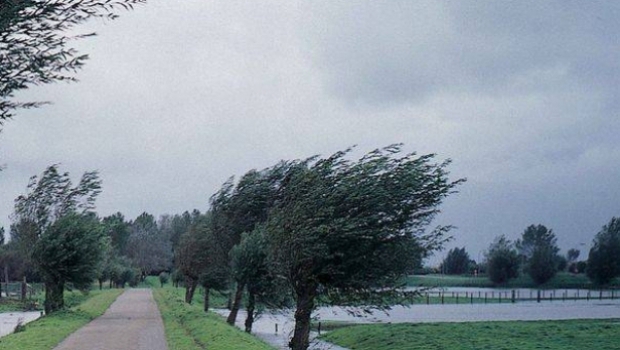 Meteorologii atentioneaza: vantul va sufla cu putere in noua judete!