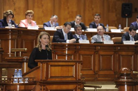 Gorghiu, la dezbaterea motiunii PNL: Avem sansa sa demonstram ca Parlamentul nu este solidar pana la capat cu ipocrizia