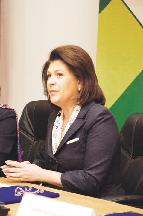 Rovana Plumb Ministrul muncii - Ziarul National