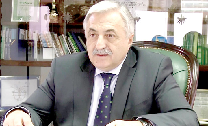 Oficial, furtul de lemn din paduri este de 133 de ori mai mic decat in realitate