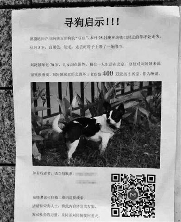 Peste jumatate de milion de dolari, recompensa pentru gasirea unei cateluse ratacite in Beijing