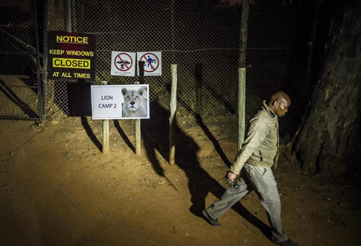Turista omorata de o leoiaca in Johannesburg