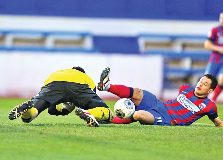 Prepelita a parasit Steaua