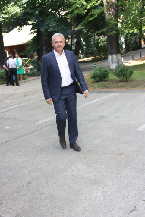 liviu dragnea - Ziarul National