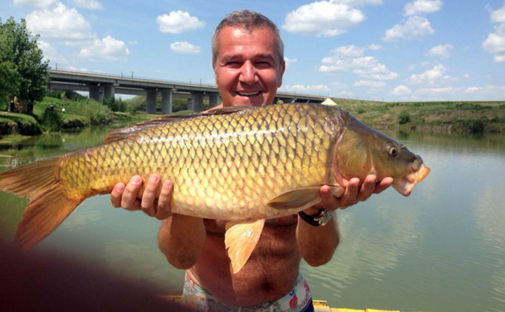 Deci, are balta peste?
