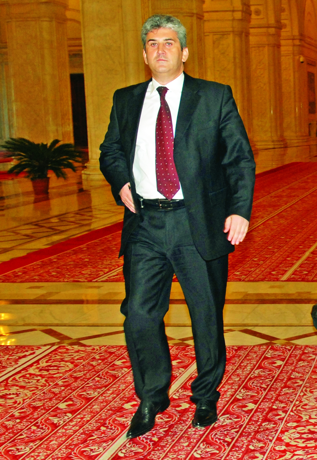 Oprea, firul scurt dintre Palate