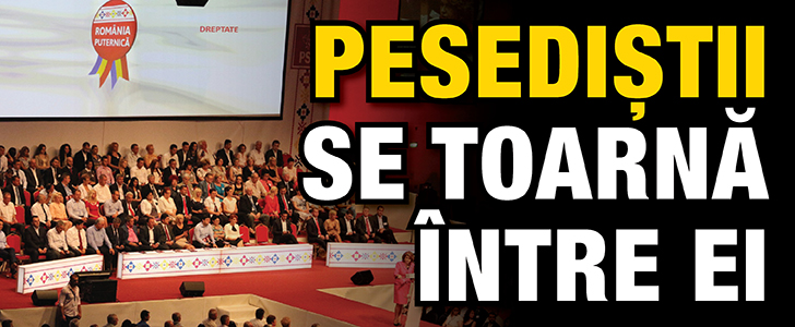 Pesedistii se toarna intre ei