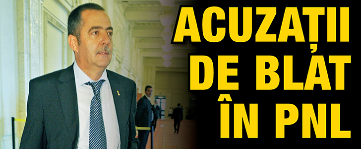 Acuzatii de blat in PNL