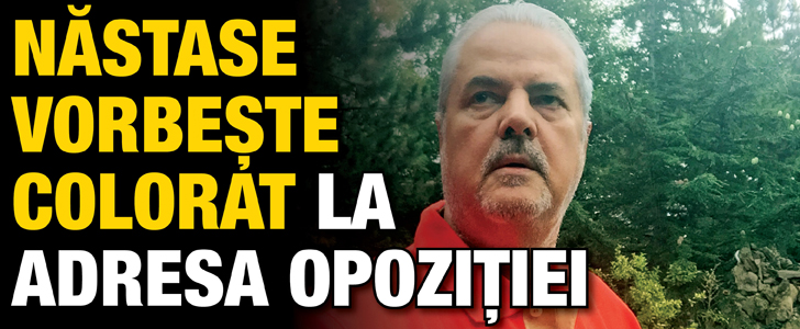 Nastase vorbeste colorat la adresa Opozitiei