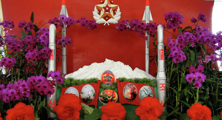Orhideele se numesc „Kimilsungia” iar begoniile „Kimjongilia”