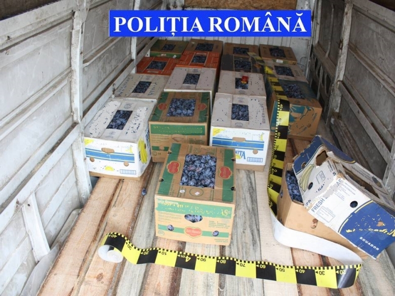 Microbuz plin cu prune. Ce se ascundea, de fapt, in lazi si ce a patit soferul oprit de politie!
