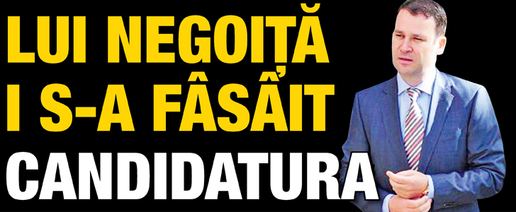 Lui Negoita i s-a fasait candidatura