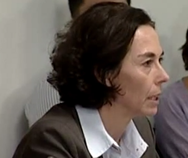 Andreea Schaechter FMI la Parlament crop - Ziarul National