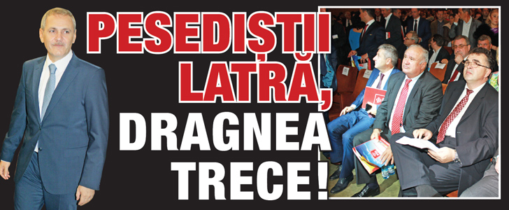 Pesedistii latra, Dragnea trece