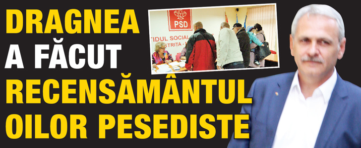 Dragnea a facut recensamantul oilor pesediste
