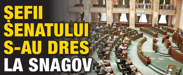 Sefii Senatului s-au dres la Snagov