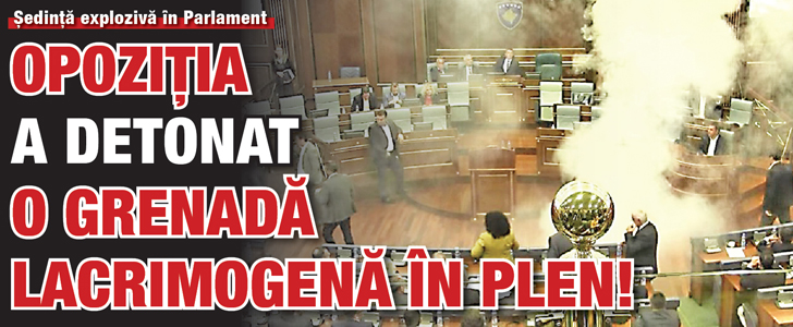 Opozitia  a detonat o grenada lacrimogena in plen