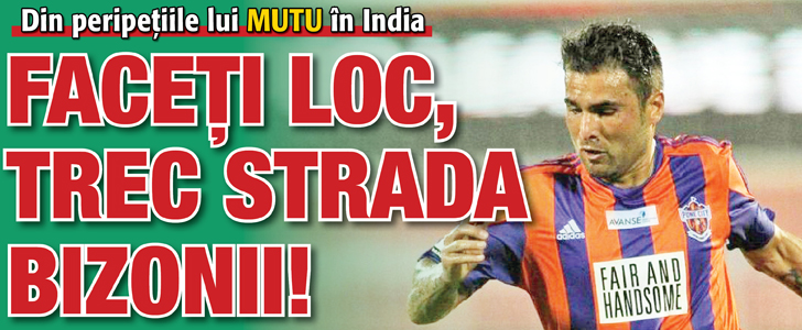 Faceti loc, trec strada bizonii!