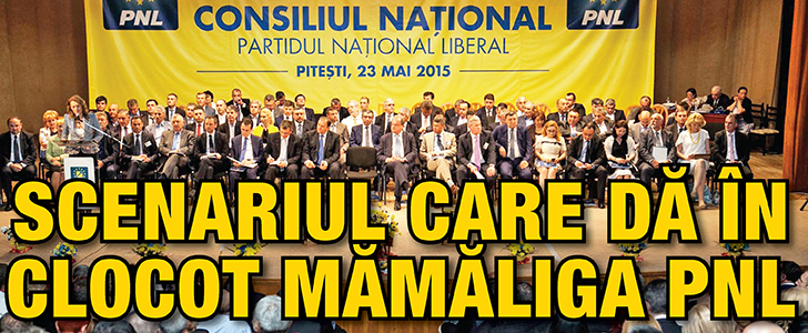 Scenariul care da in clocot mamaliga PNL